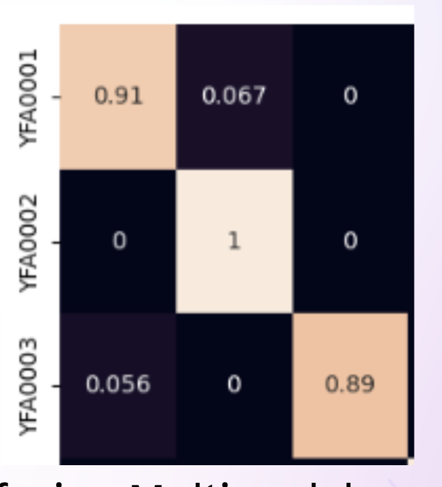 early fusion confusion matrix
